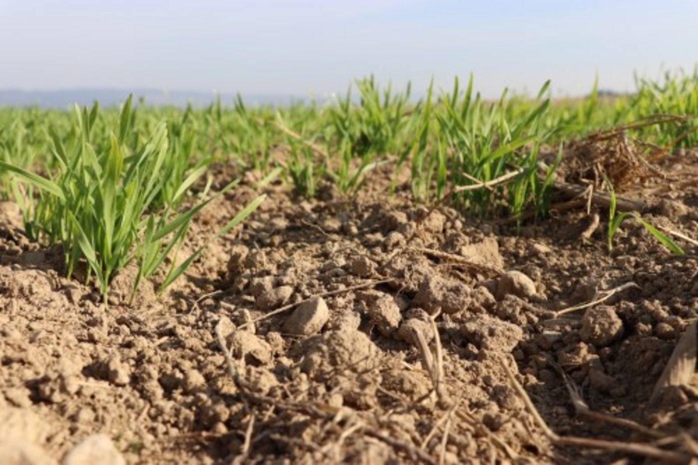 Der Handel mit Landwirtschaftsland untersteht dem bäuerlichen Bodenrecht. (Symbolbild Ruth Aerni)