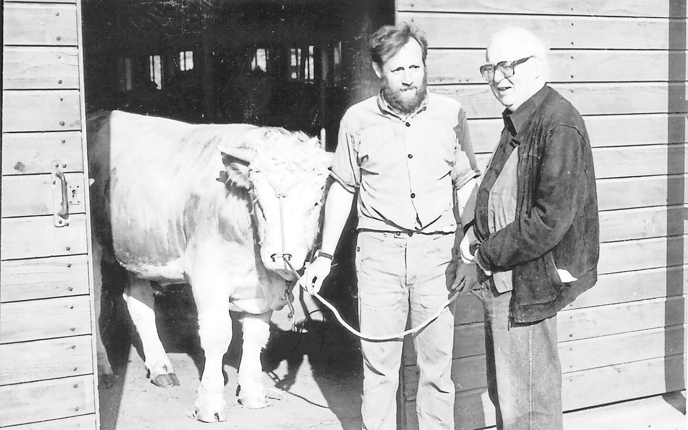 Friedrich Dürrenmatt beim Besuch der KB-Station Neuenburg, einem «technischen Bullenpuff». Stiere interessierten den Schriftsteller. 