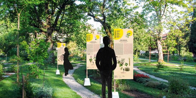 Da die Kultivierung von invasiven Pflanzen nicht ohne Risiko ist, wird bei der Botanica-Ausstellung viel mit Informationstafeln gearbeitet. (Bild zVg)