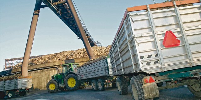 Zurzeit werden Rüben mit viel Erde angeliefert. (Bild BauZ)