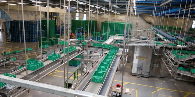 Bei der Migros haben die grünen Kisten bald ausgedient. (Bild David Eppenberger/lid)