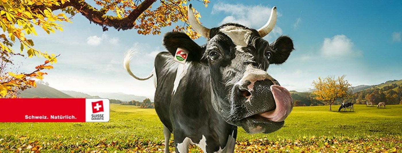 Die Swissmilk-Kampagne kommt international gut an. (Bild Swissmilk)