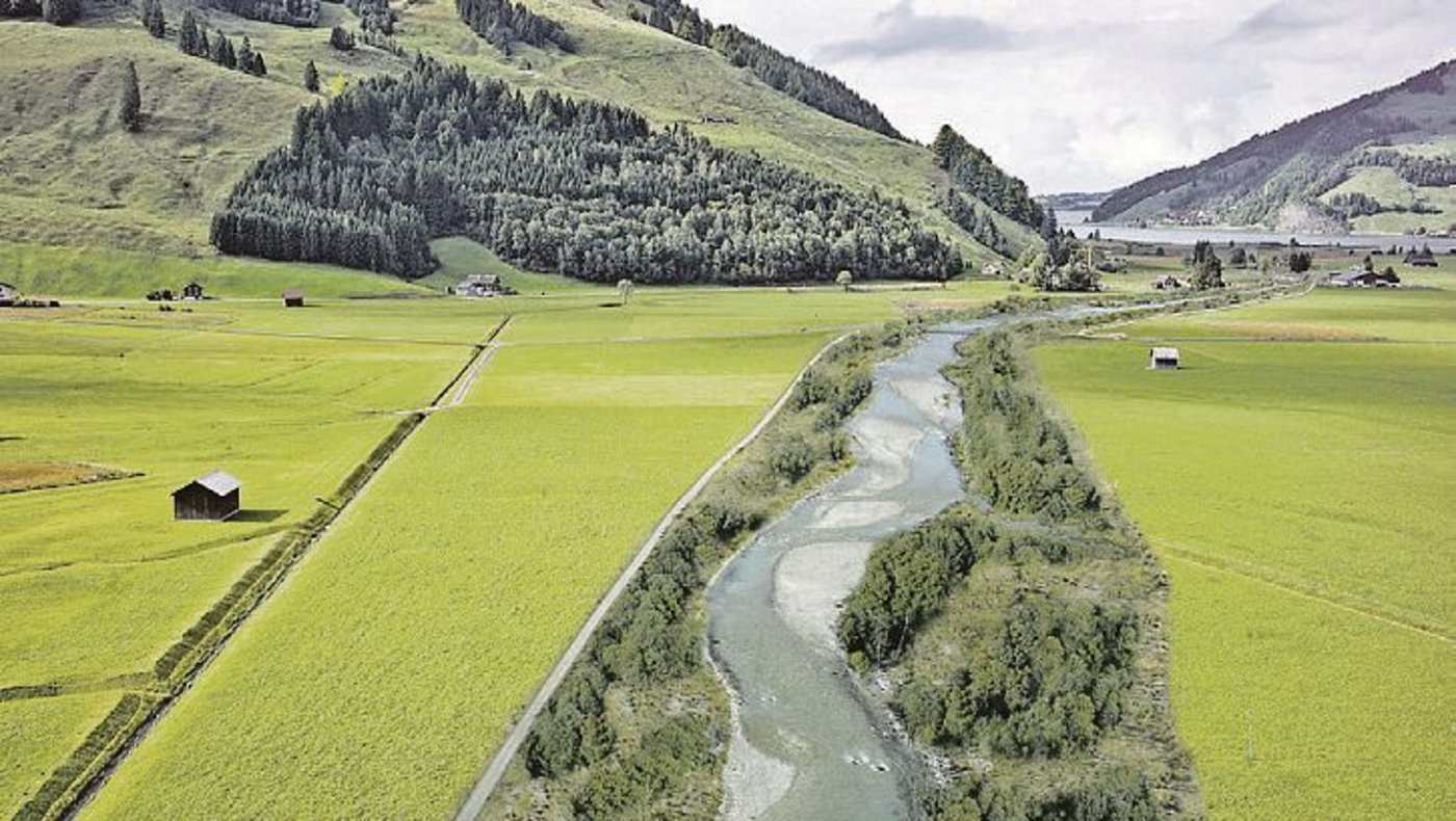 Der Bach Minster zum Sihlsee könnte in den nächsten Jahren so renaturiert werden. (Bild Newsletter Etzelwerk)