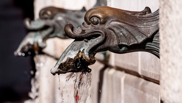 Beim Schweizer Bauernverband stiess die Studie auf Zustimmung. (Bild Pixabay)