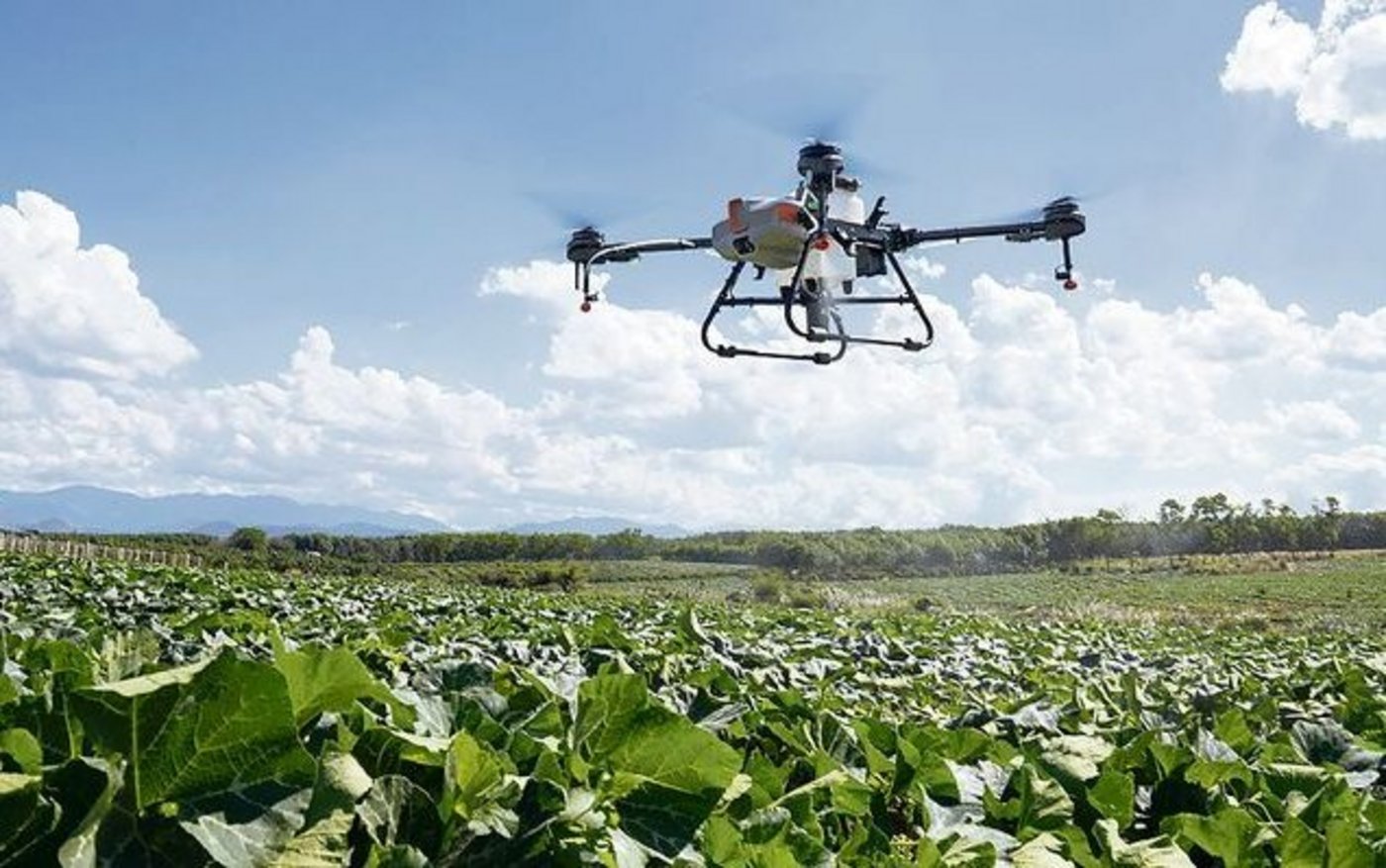 Das Einsatzgebiet der Drohnen wächst. Hier bringt eine Drohne vom Typ Agras T10 der Firma Dji ein Präparat auf Kürbisse aus.