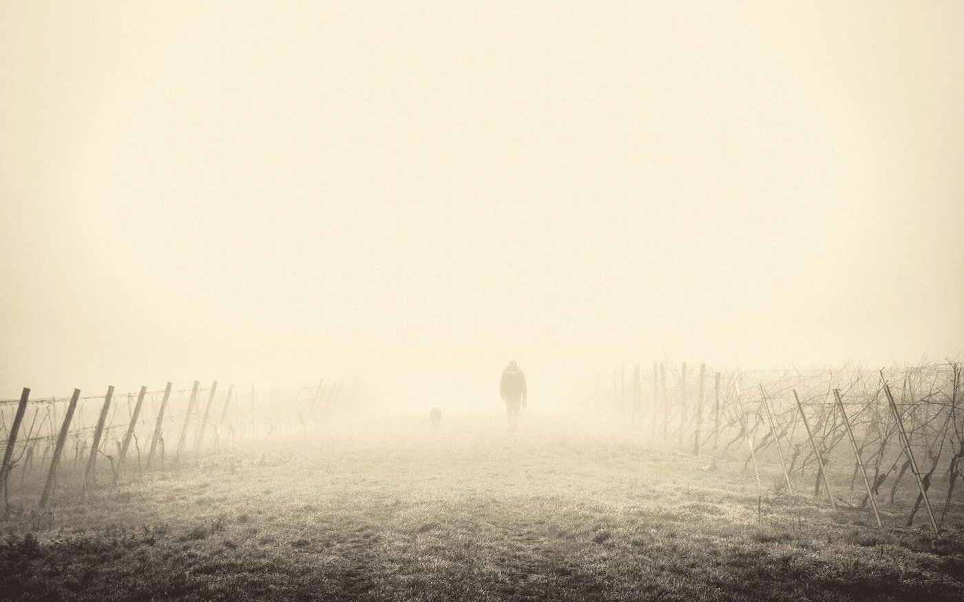 Erscheint einem im Winter alles trübe, man ist niedergeschlagen, antriebslos und gereizt, könnte man an Winterblues oder sogar an einer saisonal abhängigen Depression (manchmal auch Winterdepression genannt) leiden. 