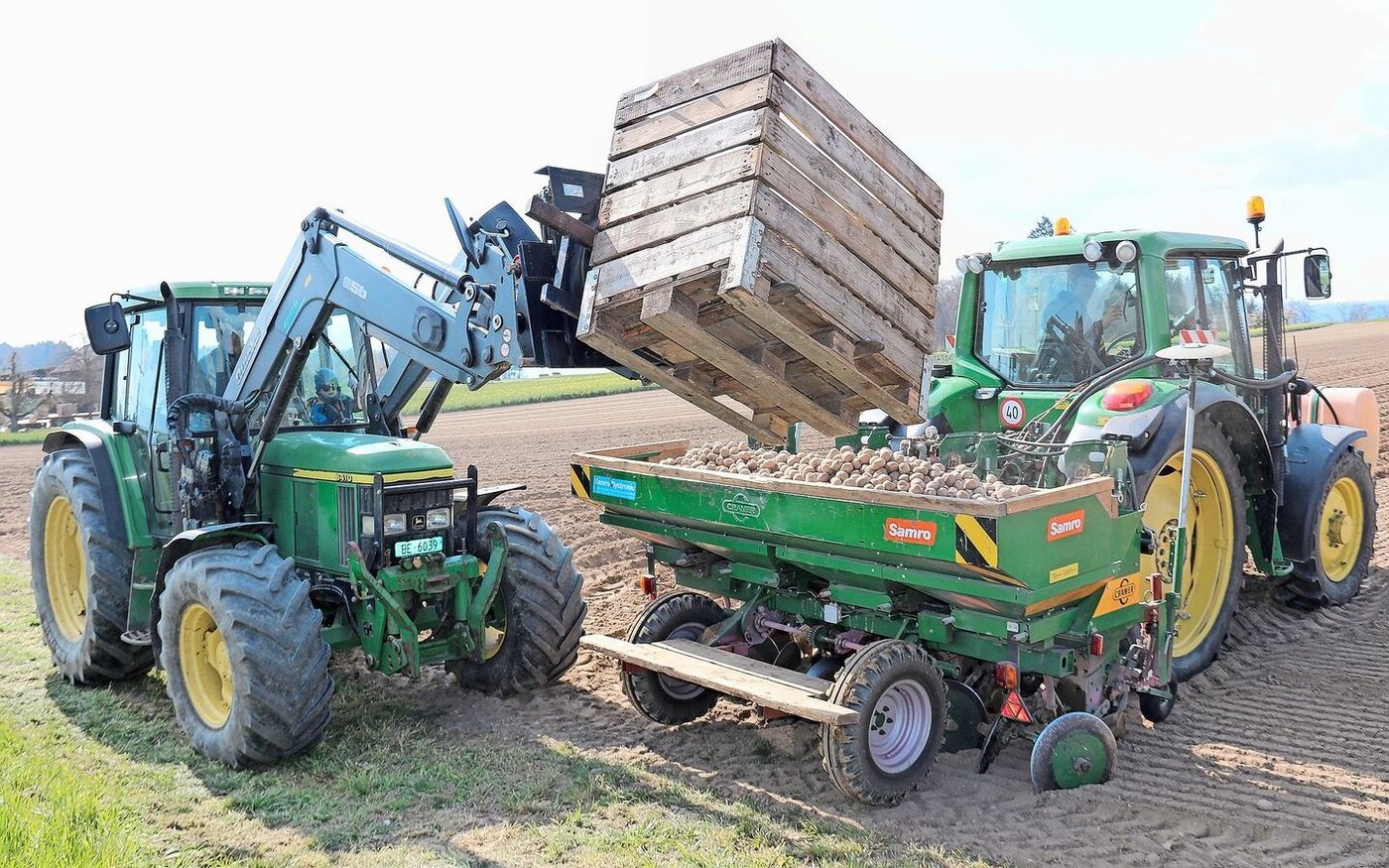 Die Bestellungen von Pflanzgut für die diesjährige Anbausaison seien mehrheitlich abgeschlossen, sagen die Anbieter.