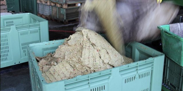 Der Trester aus der Mostproduktion wird heute an Tiere verfüttert. (Bild Hans Rüssli)