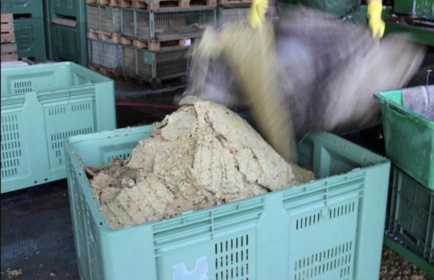 Der Trester aus der Mostproduktion wird heute an Tiere verfüttert. (Bild Hans Rüssli)