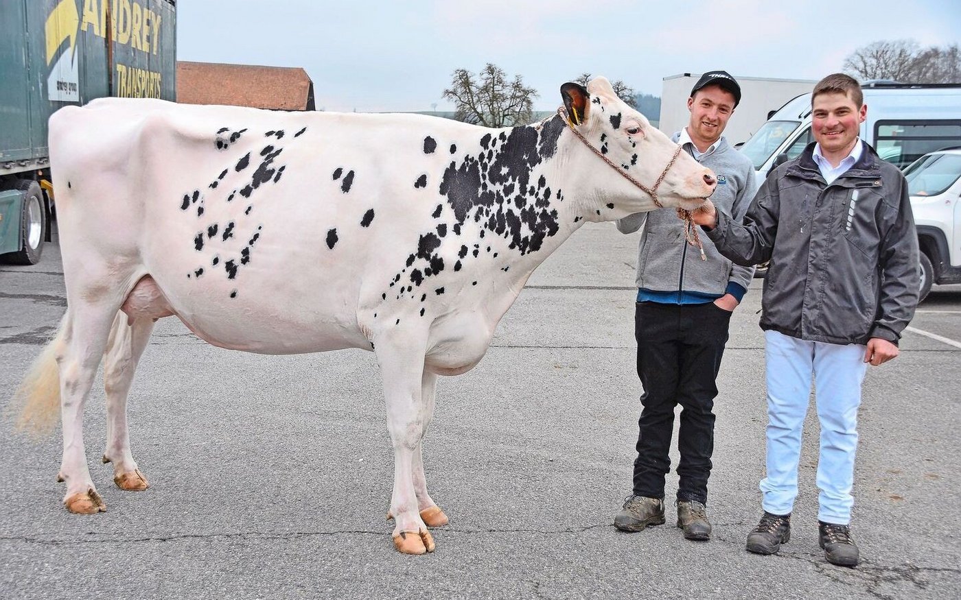 Junior-Siegerin wurde die eindrückliche Holzgass Showking Bosca von Markus Bapst aus Brünisried.