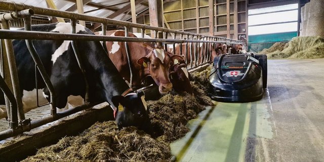 Ein automatischer Futterschieber kümmert sich um die Milchviehherde von Ruth und Matthias Stoll in Kernenried. 