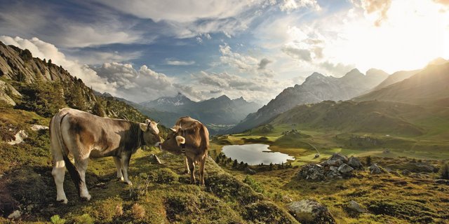 Naturpärke (hier der Naturpark Beverin) bestechen mit viel Natur und schönen Landschaften. (Bild Schweiz Tourimus/bafu)