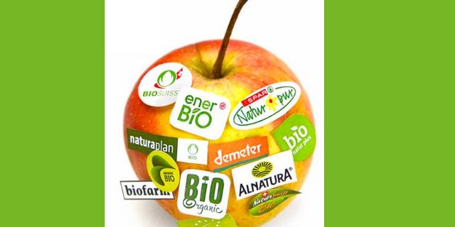 Verschiedene Detailhändler haben ihre eigenen Logos für Bio-Produkte, hinter denen unterschiedliche Anforderungen stecken. (Bild Merkblatt Biolabels FiBL)