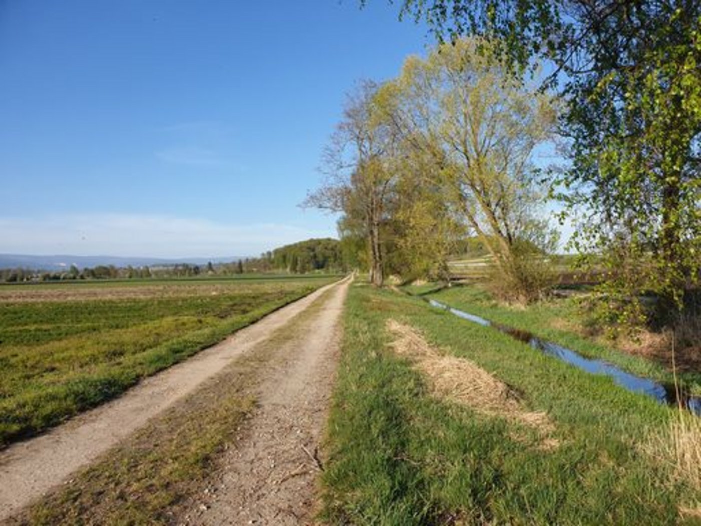 Massnahmen zur Reduktion des Pflanzenschutzmittel-Eintrags in Gewässer sind immer mit einem Mehraufwand verbunden, zeigen die Resultate von «AquaSan». (Bild lid/ji)