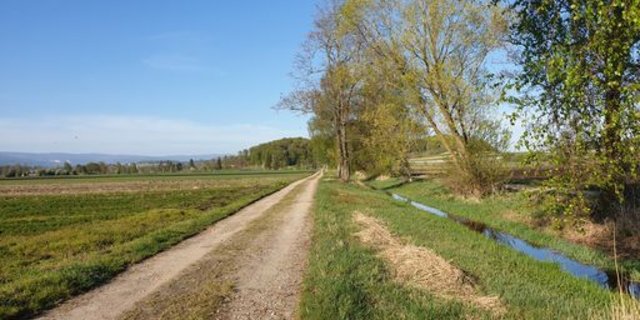 Massnahmen zur Reduktion des Pflanzenschutzmittel-Eintrags in Gewässer sind immer mit einem Mehraufwand verbunden, zeigen die Resultate von «AquaSan». (Bild lid/ji)
