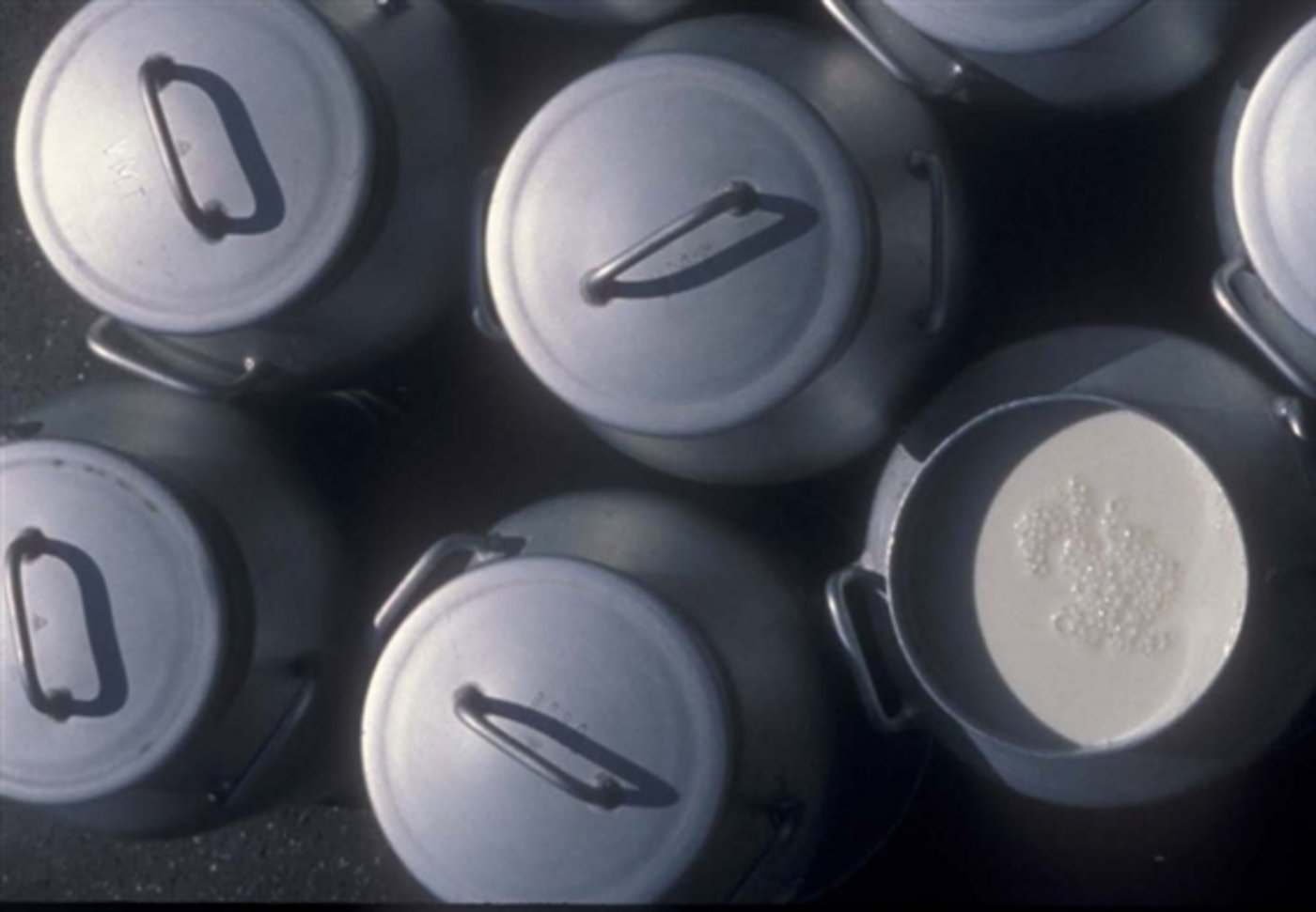 Die Nachfolgelösung für das Schoggigesetz steht. (Bild lid)