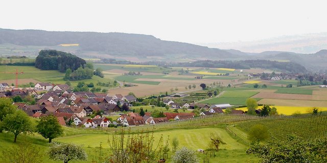 Das Flaachtal im zürcherischen Weinland sieht nicht nur grün aus. Hiesige Bauern haben sich auch dem Klimaschutz verschrieben. (Bild lid)
