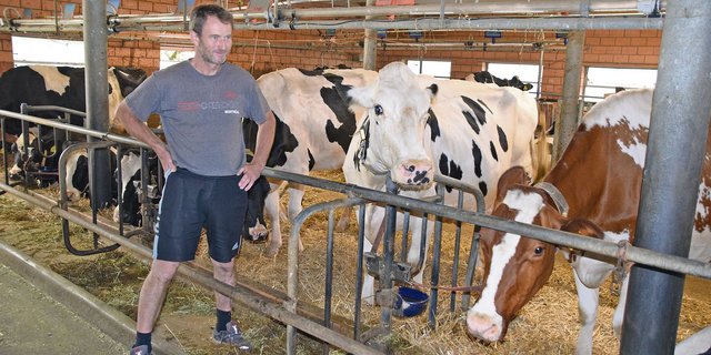 Martin Fankhauser aus Burgistein ist ein leidenschaftlicher Züchter. Ein Teil seiner Kühe istlaut Tierschutz aber zu gross und die Standplatzbreite in seinem Stall dafür zu klein. (Bilder Peter Fankhauser)