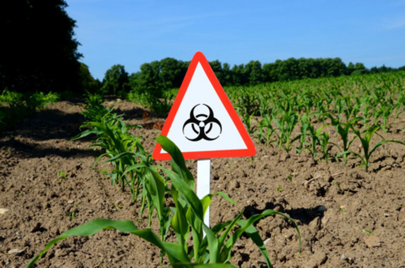 Greenpeace und WWF begrüssen den Entscheid, stellen aber weitere Forderungen. (Bild Fotolia)