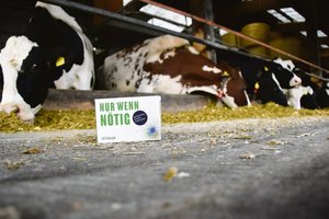 Analyse zu Antibiotika: Warum viel nicht immer viel hilft Auf den richtigen Einsatz von Antibiotika («Nur wenn nötig») sollte diese «Werbe-Pillenpackung» im Rahmen der Antibiotika-Bewusstseins-Woche 2017 hinweisen. (Bild Jasmine Baumann)