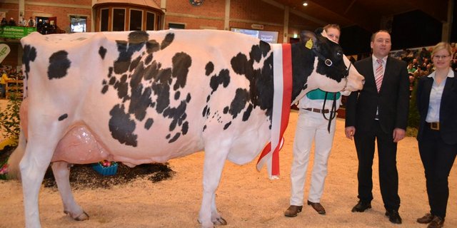 Suprême Champion und Senior Siegerin der Holstein: Duplex Myrthe vom Betrieb Muetze in Frankenberg. (BIlder: Peter Fankhauser)