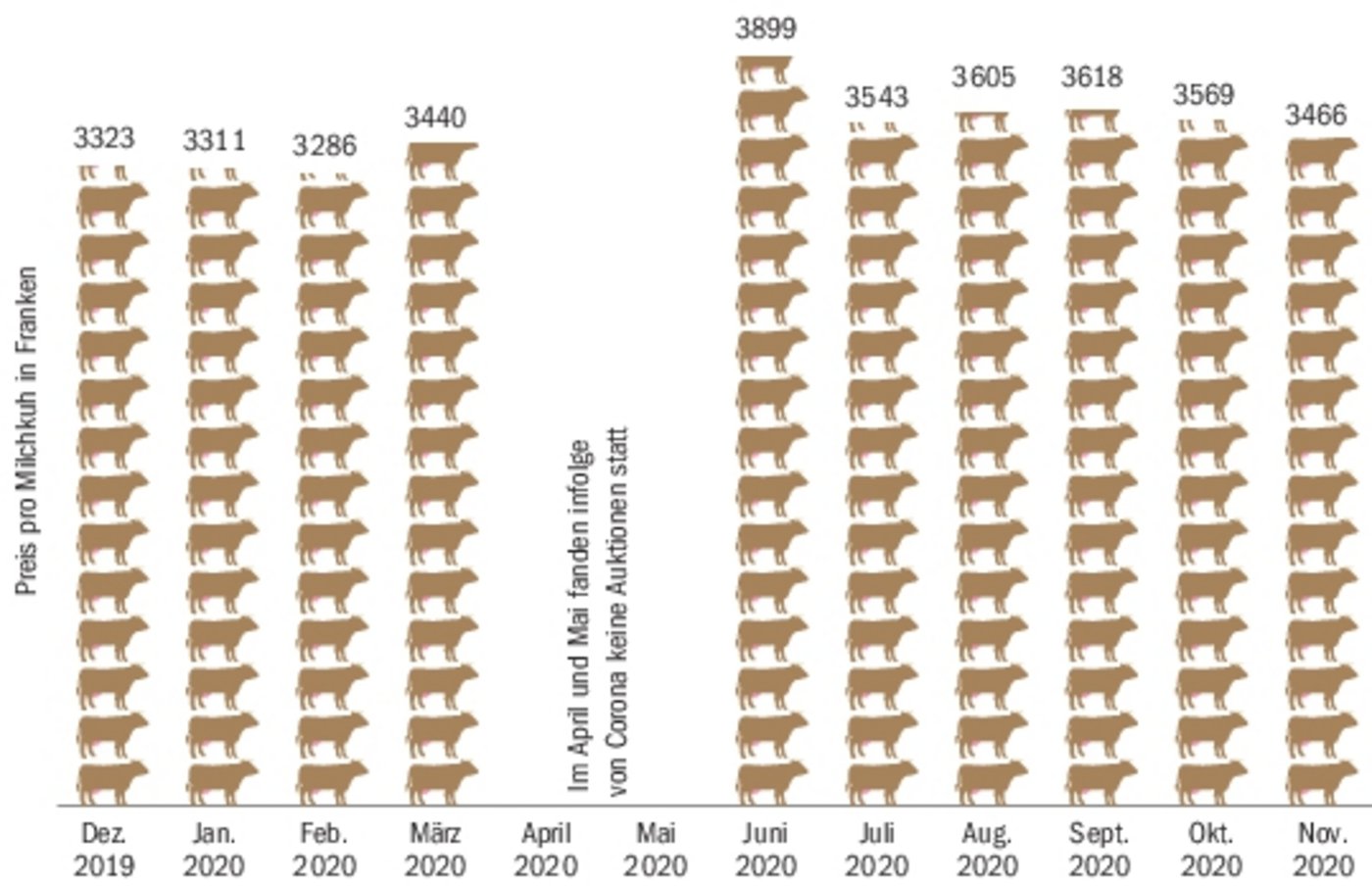 Die 81 an öffentlichen Auktionen versteigerten Milchkühe galten an den wenigen im November durchgeführten Auktionen im Schnitt 103 Franken weniger als im Oktober. (Quelle Umfrage BauZ)