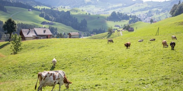 Aus der abgedunkelten Wohnung vor dem Bildschirm auf einen Betrieb mit Arbeit im Freien – so kann eine Therapie aussehen. (Symbolbild BauZ)