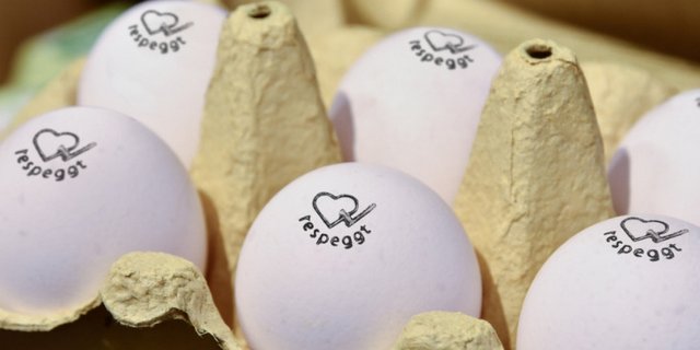 Dank der Zusammenarbeit mit der Verbeek ́s Broederij erhofft sich Respeggt mehr Sichtbarkeit für seine Eier mit Herzsiegel in deutschen und niederländischen Supermärkten. (Bild Respeggt)