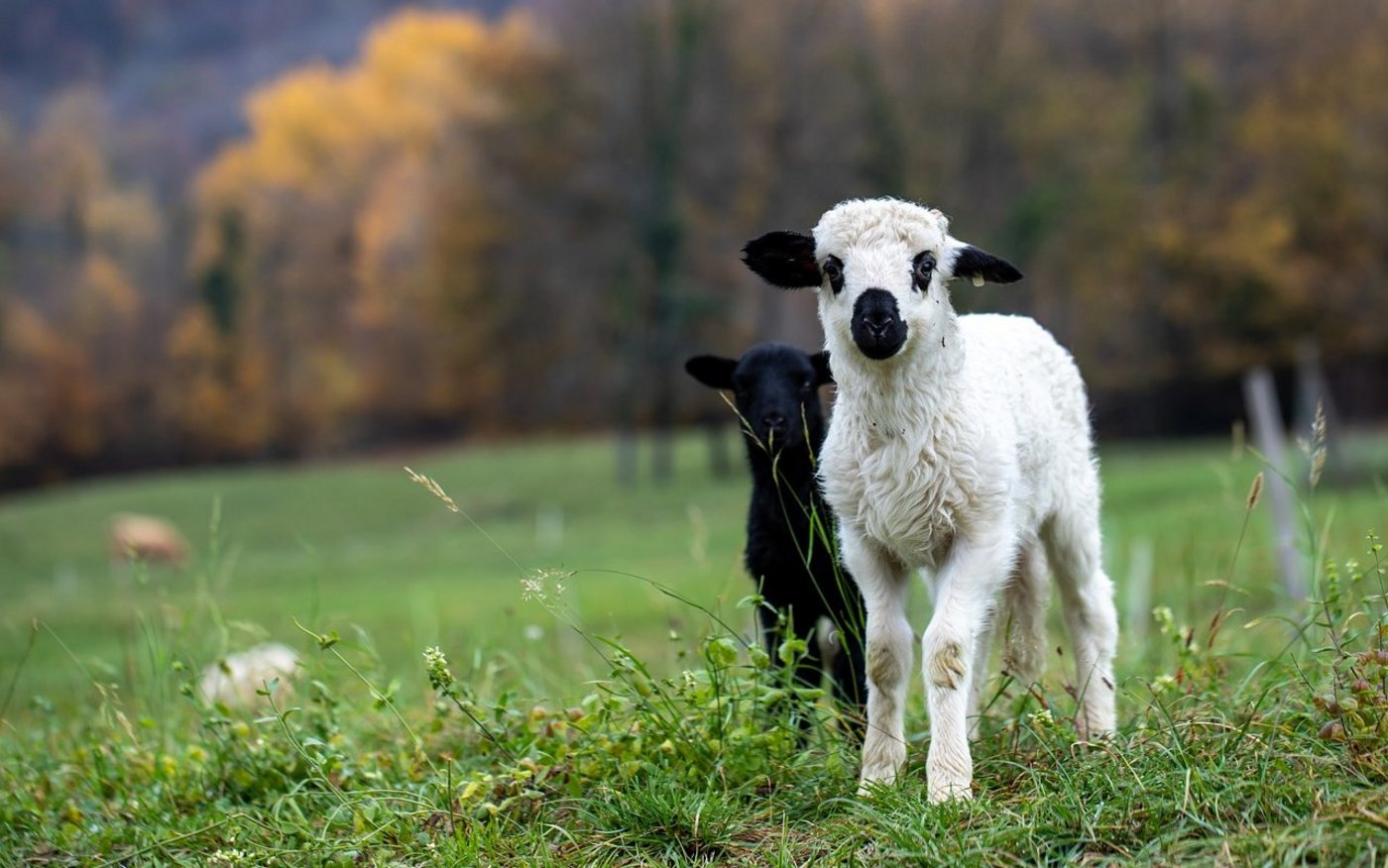 Sie sollen besser geschützt werden.