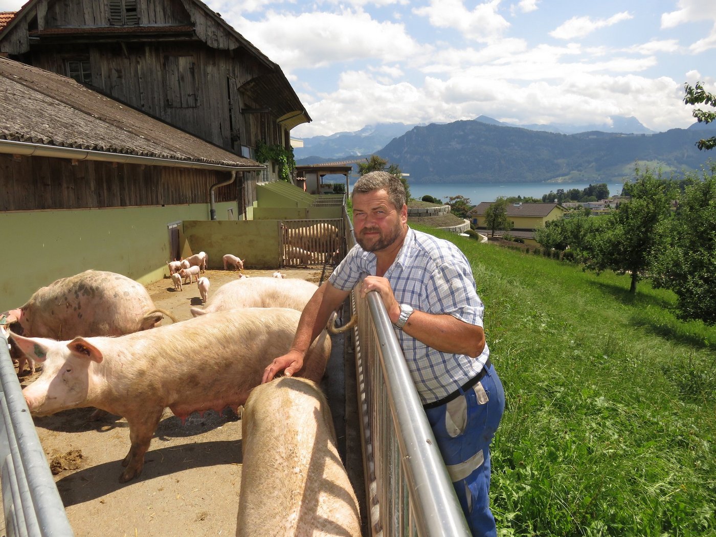 Biobauer Kaspar Hofer aus Meggen beim Auslauf für die Muttersauen und Ferkel. Die Gerüche und fehlenden Mindestabstände zum nahen Siedlungsgebiet bereiten derzeit Sorgen. (Bild Josef Scherer)