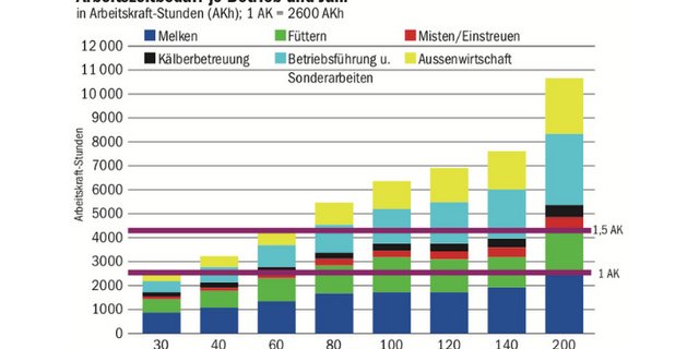 Die Büroarbeit muss der Betriebsleitende selber erledigen, der Rest kann auch z.B. von Angestellten erledigt werden. (Grafik Matthias Schick Agrovet-Strickhof)