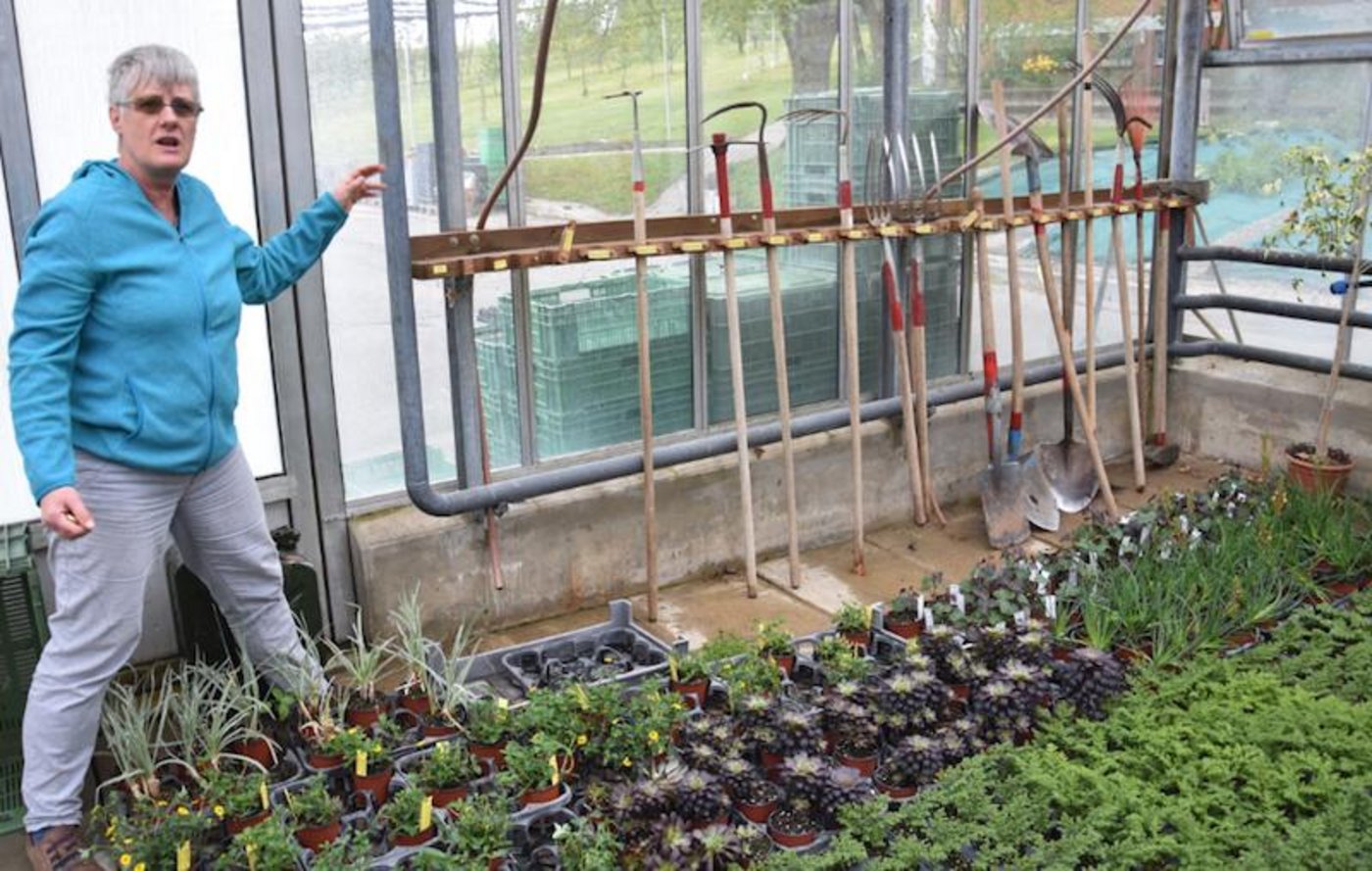 Auch das ist altersgerecht: Irène Lüthi erklärt, dass wenn die Gerätschaften schön aufgehängt sind, das Gärtnern erleichtern. (Bild et) 