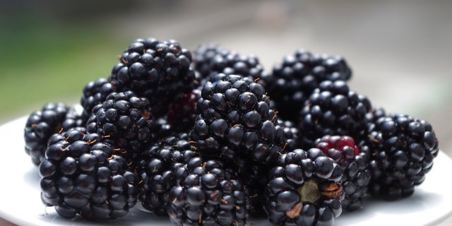 Brombeeren sind reich an Vitaminen und Mineralstoffen. (Bild Pixabay)