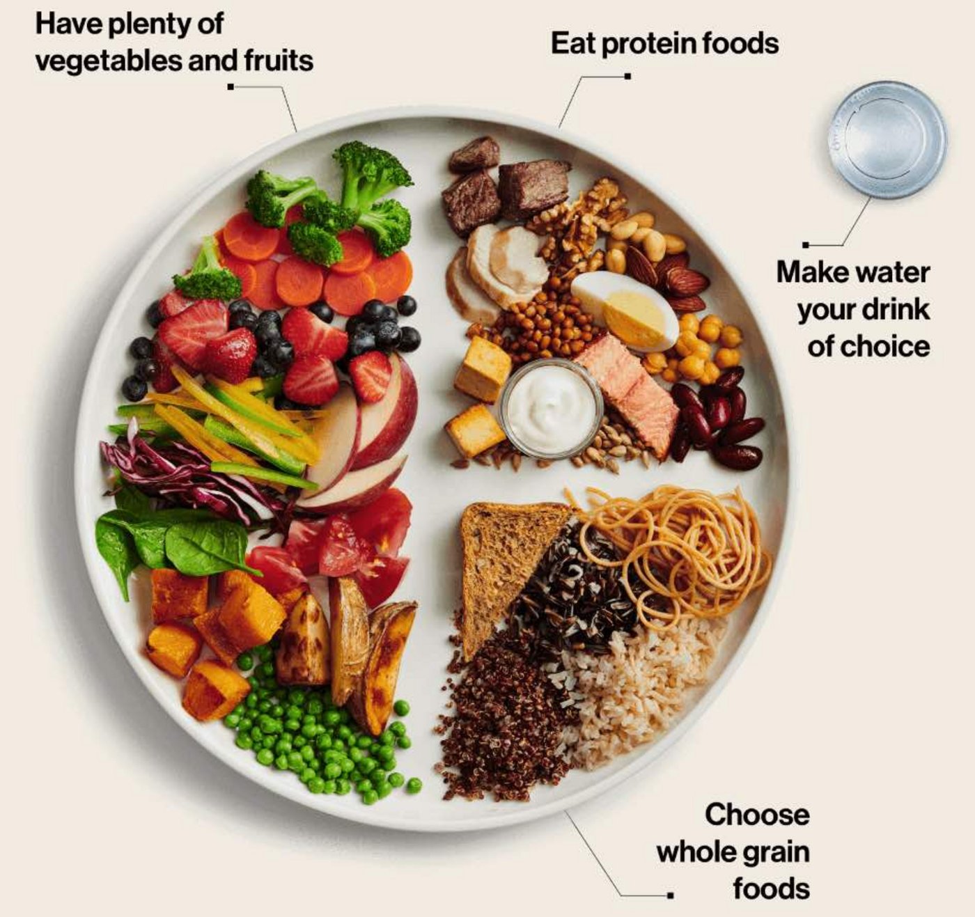 Bei den Ernhärungsempfehlungen gibt es Länderunterschiede. Bei der kanadischen Variante werden Milchprodukte nicht mehr separat empfohlen, sondern in einem Zug mit anderen Proteinlieferanten. (Bild Food Guide Canada)