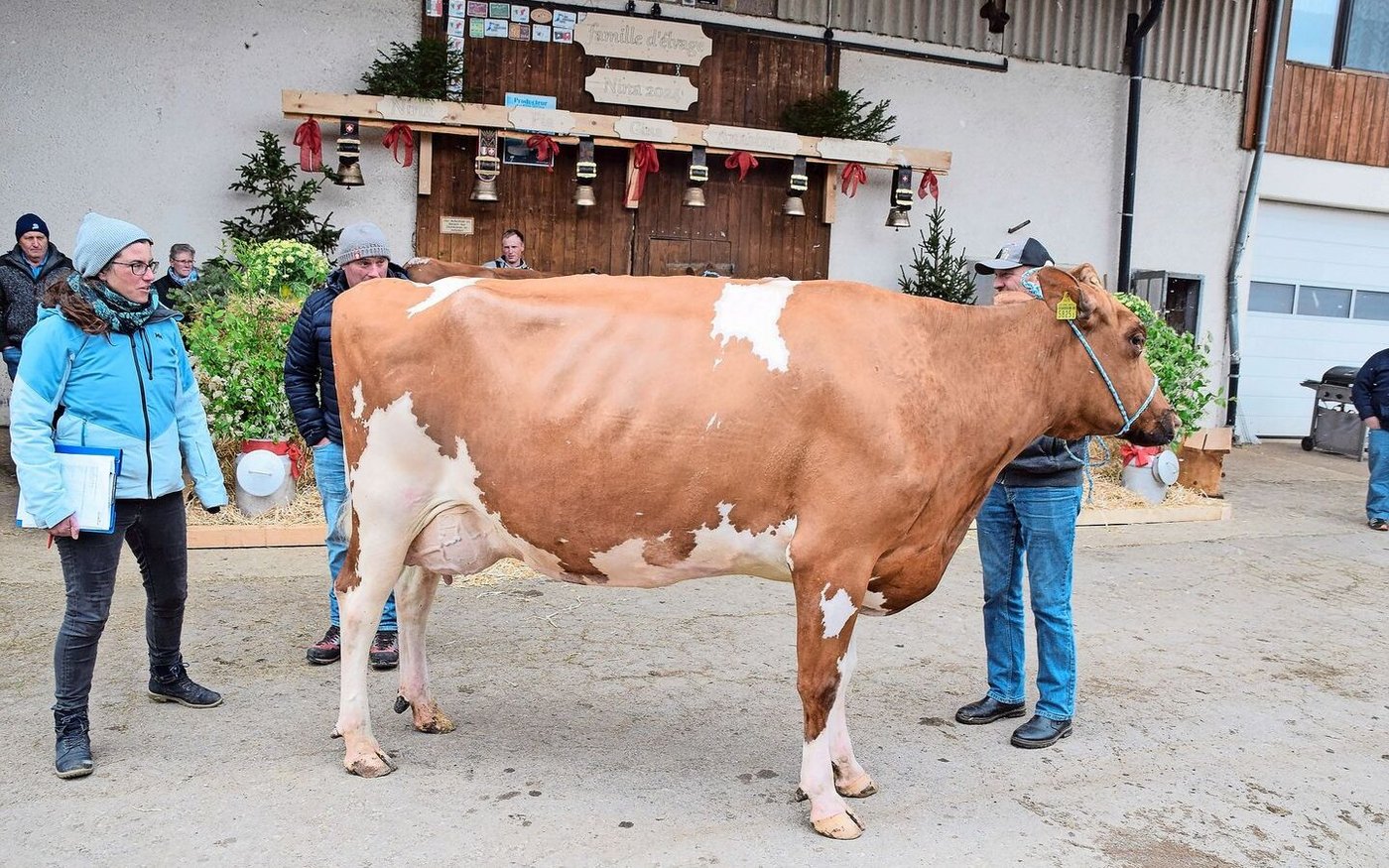 Heinz Baur mit seiner Stammkuh Nina an der Halfter, kritisch begutachtet von Sandra Staub und von Gabriel Scheidegger.