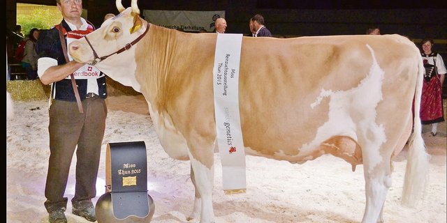 Sie wurde Grand Champion an der Reinzuchtausstellung 2015 in Thun BE: Herzog Petra von Stephan und Jonathan Perreten aus der Lauenen BE.