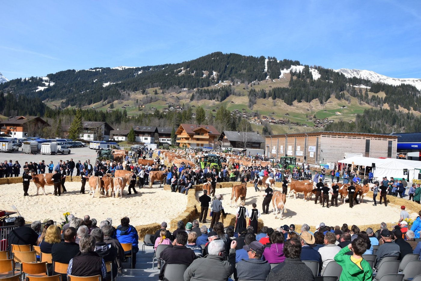 Der eindrückliche Schauplatz in der Lenk BE.
