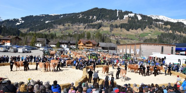 Der eindrückliche Schauplatz in der Lenk BE.