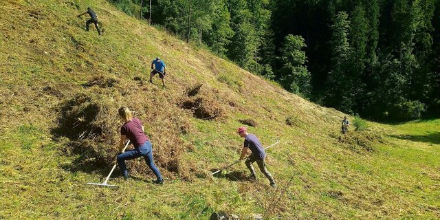 Die Pflege der Grenzertragsflächen, wie hier auf dem Brandberg, ist mit viel (Hand)-Arbeit verbunden.