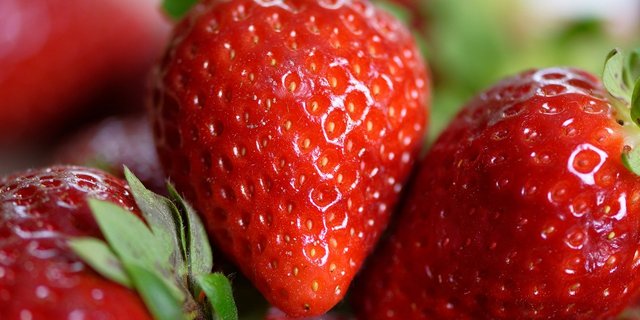 Wieso heissen Erdbeeren eigentlich so? Vielleicht, weil sie im Gegensatz zu z. B. Himbeeren so nah am Boden wachsen. (Bild Pixabay)