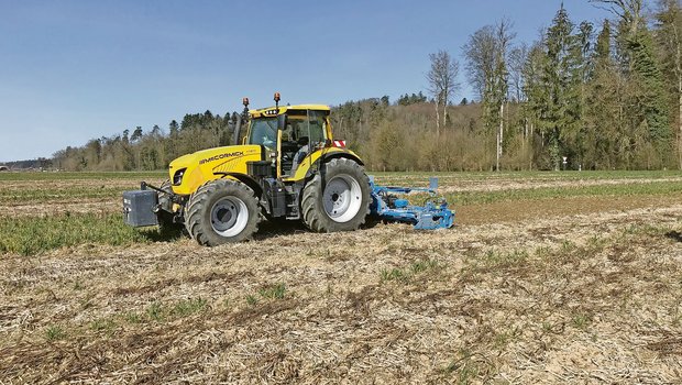 Jede Parzelle erfordert aufgrund der Vorkultur und der Bodenbeschaffenheit ein eigenes Vorgehen.(Bild Lukas Streit)