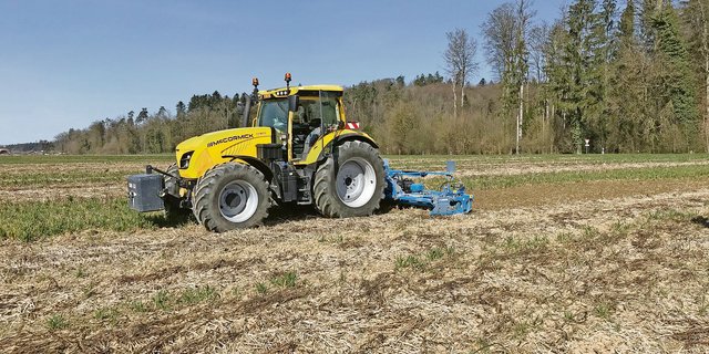 Jede Parzelle erfordert aufgrund der Vorkultur und der Bodenbeschaffenheit ein eigenes Vorgehen.(Bild Lukas Streit)