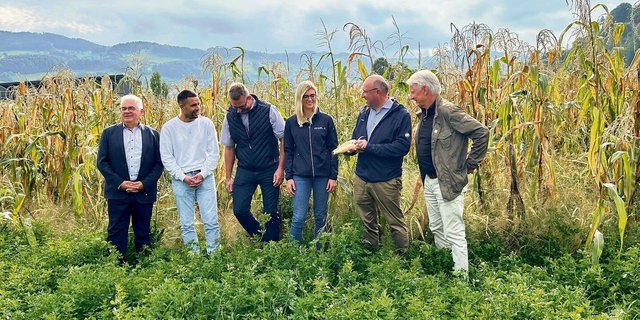 Austausch am Ribelmaisfeld: Klaus Brammertz (Arbeitgeberpräsident Rheintal), Christian Lütolf, Peter Nüesch, Vivienne Oggier, Beat Tinner (Regierungsrat) und Ernst Lütolf (v. l.).