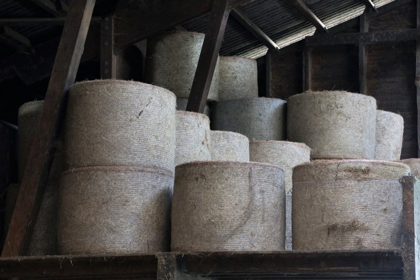 Auch beim Futtermittel ist der Import sensibel. (Bild zVg)