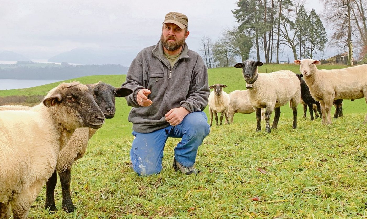 Franz Baggenstos auf einer Winterweide. Er setzt auf Suffolk, Spiegelschafe und Kreuzungen. Die seien nicht zu schwer, würden gutes Fleisch liefern und hätten einen guten Charakter. (Bild Josef Scherer)