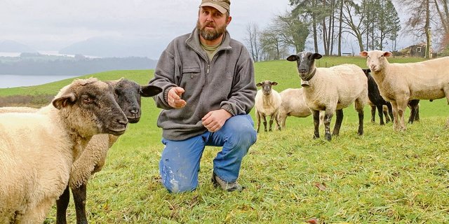 Franz Baggenstos auf einer Winterweide. Er setzt auf Suffolk, Spiegelschafe und Kreuzungen. Die seien nicht zu schwer, würden gutes Fleisch liefern und hätten einen guten Charakter. (Bild Josef Scherer)