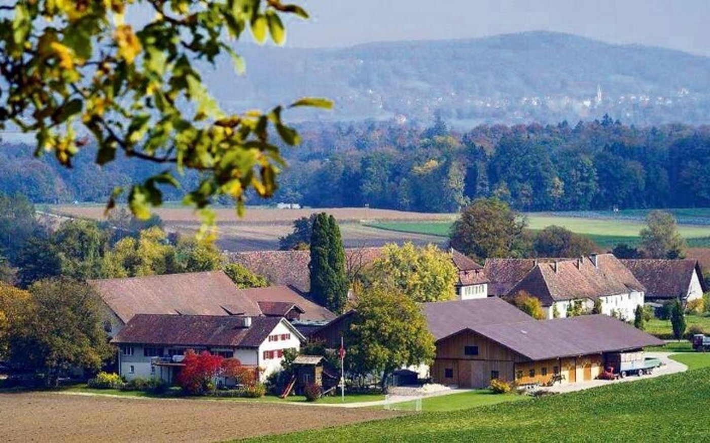 Der Gutsbetrieb wird seit bald 30 Jahren  von Jacqueline und Daniel Erb bewirtschaftet. In den ersten Jahren waren sie noch Verwalter, dann wurden sie zu Pächtern. Auf Ende Jahr steht die Pachtübergabe an den Nachfolger an.