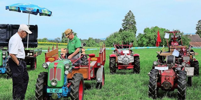 Sie kamen vor 100 Jahren auf und erlebten in den 1950-er und 1960-er Jahren ihren Boom: Als Pferdeersatz überzeugten die Einachser mit ihrer Vielseitigkeit.