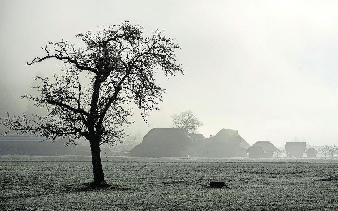 Die Bauern stehen aktuell noch im Nebel, wenn es um die genaue Ausarbeitung einer «klimafreundlichen Produktion» geht.