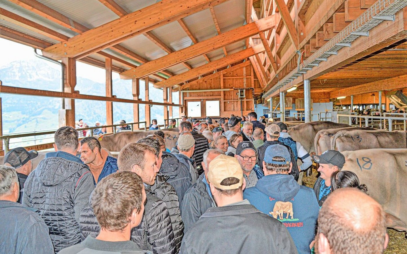 Trotz grosszügigen Platzverhältnissen wurde es eng im Stall des Hofs Charenwäldli.